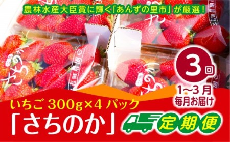 [2025年1月〜3月発送][3ヶ月定期便]「さちのか」いちご300g×4Pを3回お届け[F7007]