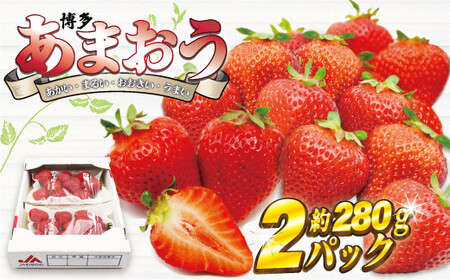 博多あまおう2パック[2025年3月下旬より順次発送]約560g[F2211]