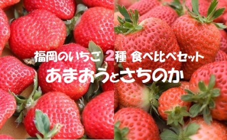 [2025年1月発送開始]いちご2種食べ比べセット「あまおう」「さちのか」各2パック計1,160g★あんずの里[F0073]