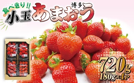 食べきりサイズ!博多あまおう4パック[2025年1月より順次]約720g(2L〜Lサイズ)[F2318]