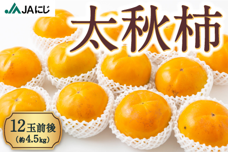 【先行予約】JAにじ 太秋柿12玉前後 (約4.5kg) 2025年10月中旬から10月下旬 出荷予定