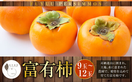 [先行予約]石井農園 富有柿 9玉から12玉 2025年11月中旬から12月上旬 出荷予定