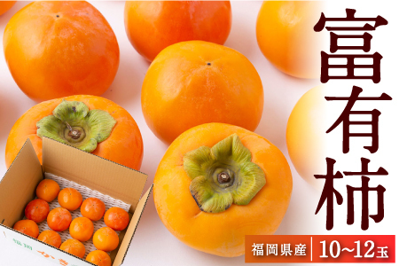 [先行予約]江藤農園 富有柿 10玉から12玉(約3kg) 2025年11月中旬から11月下旬 出荷予定