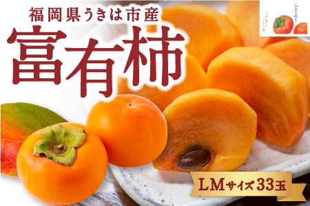 [先行予約]竹の葉月柿農園 富有柿 LMサイズ 33玉 2025年11月上旬から11月下旬 出荷予定