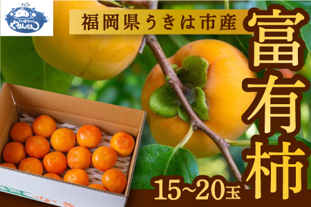 [先行予約]やまんどん 富有柿 15玉から20玉 2025年11月下旬から12月上旬 出荷予定