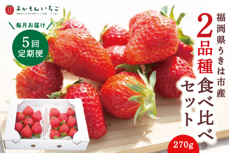 [5回定期便]よかもんいちご 2品種食べ比べセット 2024年12月5日から2025年4月 毎月 お届け