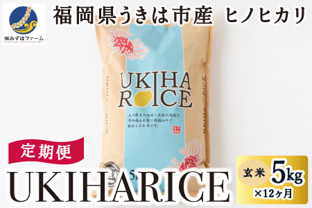 [12ヶ月定期便]みずほファーム UKIHA RICE (玄米5kg×12ヶ月) [2025年11月より順次発送予定] 米 ヒノヒカリ 玄米 お米 ご飯 うきは市