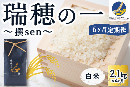 [6ヶ月定期便]みずほファーム「瑞穂の一 “撰sen"」(白米2.1kg × 6ヶ月)