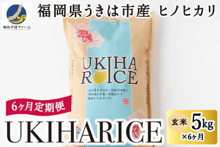 [6ヶ月定期便]みずほファーム UKIHA RICE (玄米5kg×6ヶ月) [2025年11月より順次発送予定] 米 ヒノヒカリ お米 ご飯 うきは市