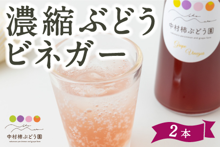 中村柿ぶどう園 濃縮ぶどうビネガー 300ml×2本 フルーツビネガー 果実酢 フルーツ酢