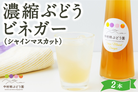 中村柿ぶどう園 濃縮ぶどうビネガー (シャインマスカット) 300ml×2本 フルーツビネガー 果実酢 フルーツ酢