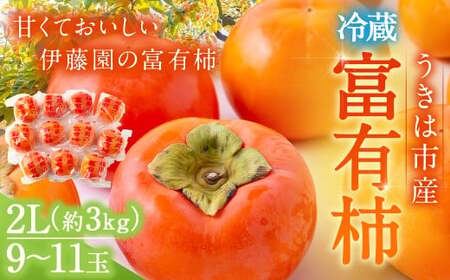 ys\zɓ ①xL` i2LTCYj 9ʁ`11 3kg y2025N12{12{oח\z ^ xL` ` ʕ t[c  ͎s