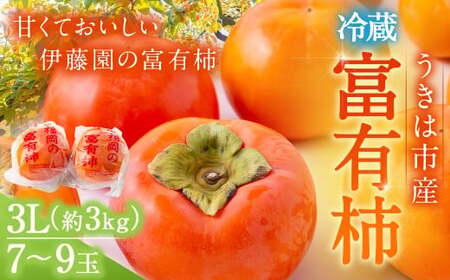 ys\zɓ ①xL` i3LTCYj 7ʂ9 3kg y2025N12{12{oח\z ^ xL` ` ʕ t[c  ͎s