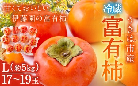 ys\zɓ ①xL` iLTCYj 17ʁ`19 5kg y2025N12{12{oח\z ^ xL` ` ʕ t[c  ͎s