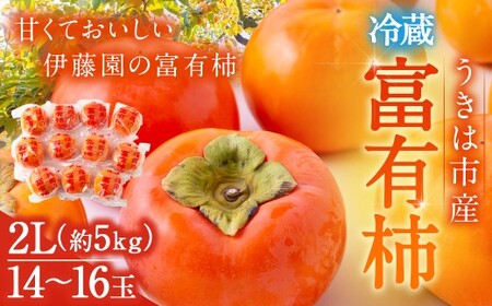 ys\zɓ ①xL` i2LTCYj 14ʁ`16 5kg y2025N12{12{oח\z ^ xL` ` ʕ t[c  ͎s