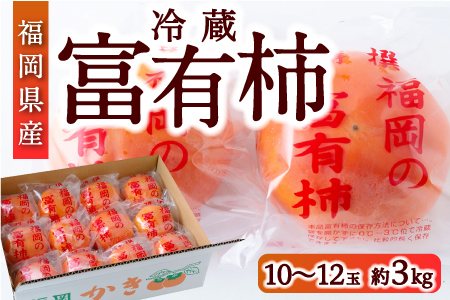 [先行予約]江藤農園 冷蔵富有柿 10玉から12玉 (約3kg) 2025年12月中旬から2026年1月中旬 出荷予定