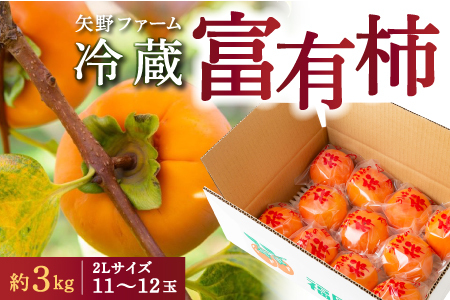 [先行予約]矢野ファーム 冷蔵富有柿 (2Lサイズ) 11玉から12玉 (約3kg) 2025年12月中旬から2026年1月10日 出荷予定