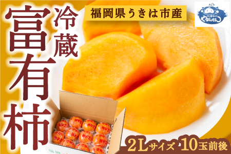 [先行予約]やまんどん 冷蔵富有柿 2Lサイズ 10玉前後 2025年12月中旬から12月下旬 出荷予定
