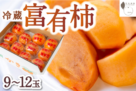 石井農園 冷蔵富有柿 9玉から12玉 2025年12月中旬から2026年3月31日 出荷予定
