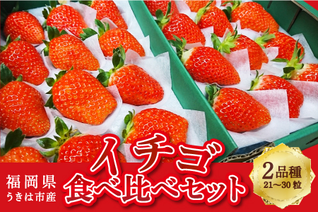 梶原フルーツのイチゴ食べ比べセット 2025年1月中旬から1月31日 出荷予定