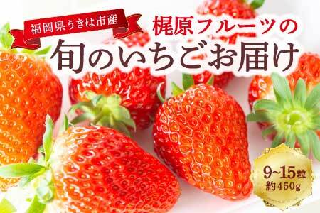 梶原フルーツの旬のいちごお届け 2025年1月中旬から1月31日 出荷予定