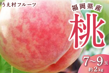 [先行予約]うえ村フルーツ 桃 7玉から9玉 (約2kg) 2025年6月中旬から7月中旬 出荷予定