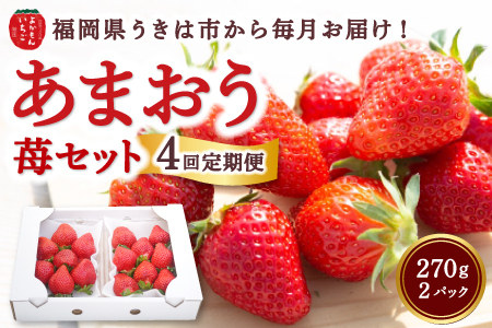 [4回定期便]よかもんいちご あまおう苺セット2パック 2025年1月から4月 毎月 お届け