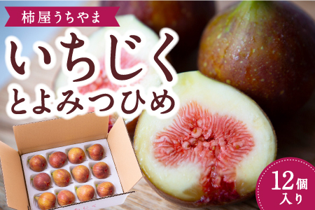 [先行予約]柿屋うちやま いちじく とよみつひめ 12個入り 2025年7月下旬から9月中旬 出荷予定