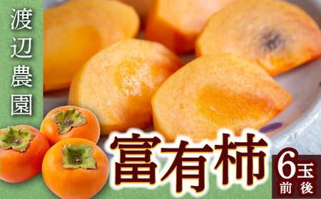 [先行予約]渡辺農園 富有柿 6玉前後 2025年11月中旬から12月上旬 出荷予定