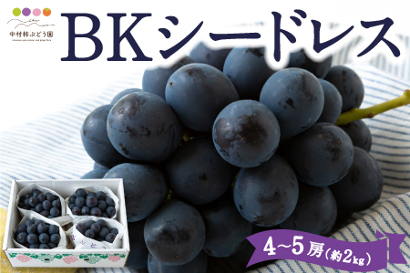 【先行予約】中村柿ぶどう園 BKシードレス 4房から5房 (約2kg) 2025年8月中旬から9月上旬 出荷予定