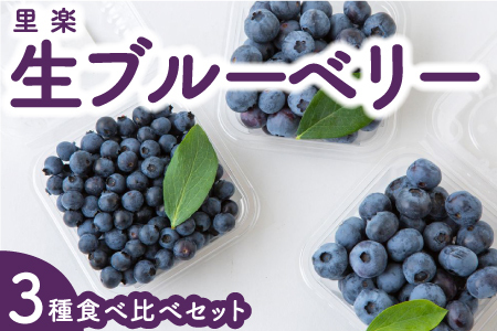 P311-06 里楽 生ブルーベリー3種食べ比べセット 6月15日～6月30日 出荷予定