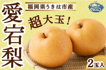 やまんどん 愛宕梨 超大玉 2玉入 [2025年11月上旬発送予定] / ナシ 梨 果物 フルーツ くだもの うきは市