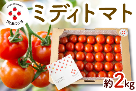 まっか農園 ミディトマト (約2kg) 2025年2月1日から2月28日お届け