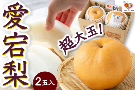 [先行予約]佐藤ファーム 愛宕梨 超大玉 2玉入 2025年11月上旬 出荷予定
