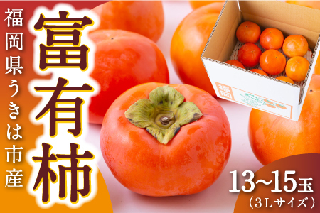 ys\zɓ xL` 3LTCY 13ʁ`15 y2025N11{12{ oח\z ^ xL` ` ʕ t[c  ͎s