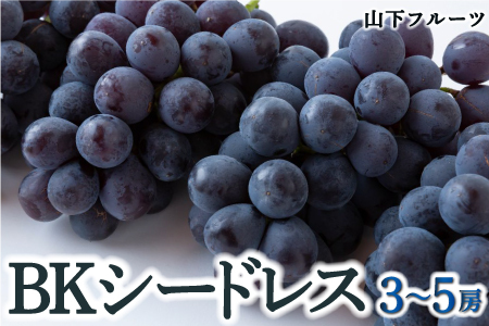 [先行予約]山下フルーツ BKシードレス 3房から5房 2025年8月中旬から9月中旬 出荷予定