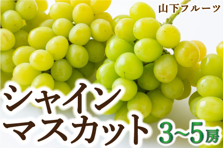 [先行予約]山下フルーツ シャインマスカット 3房から5房 2025年8月中旬から9月中旬 出荷予定