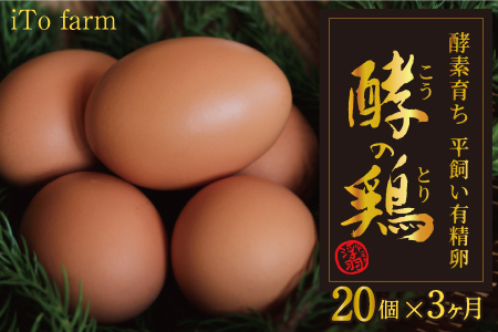 [3ヶ月定期便]iTo farm 酵の鶏 20個×3ヶ月お届け