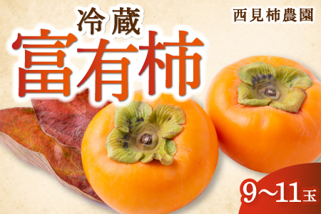 [先行予約]西見柿農園 冷蔵富有柿 9玉から11玉 2025年12月中旬から2026年1月下旬 出荷予定