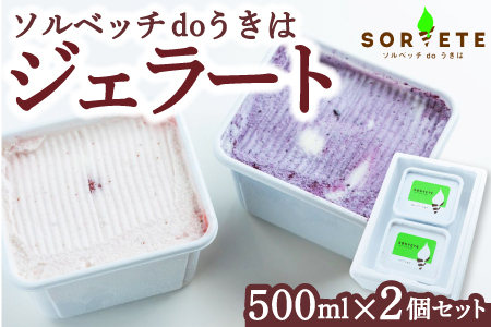 ソルベッチdoうきは ジェラート500ml×2個セット フルーツ ミルク スイーツ デザート ジェラート シャーベット アイス いちごミルク ブルーベリーミルク セット 冷凍 福岡県 うきは市
