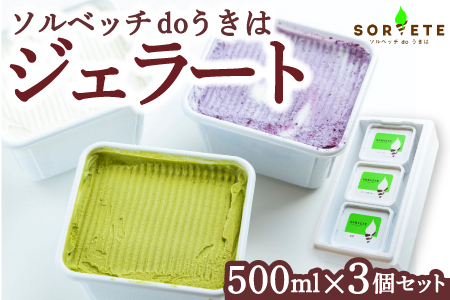ソルベッチdoうきは ジェラート500ml×3個セット フルーツ ミルク スイーツ デザート ジェラート シャーベット アイス いちごミルク ブルーベリーミルク オリーブ塩ミルク お茶 セット 冷凍 福岡県 うきは市