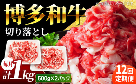 y12ցze a ؂藎Ƃ 1kg (500g×2pbN) yn̂݁za  ؂藎Ƃ   s e Ă 