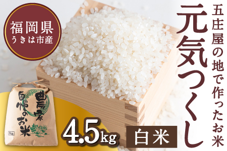 [特Aランク米]五庄屋の地で作ったお米 元気つくし 白米 (4.5kg)[Go庄屋合同会社]こめ コメ ごはん ご飯 福岡県うきは市産 九州産