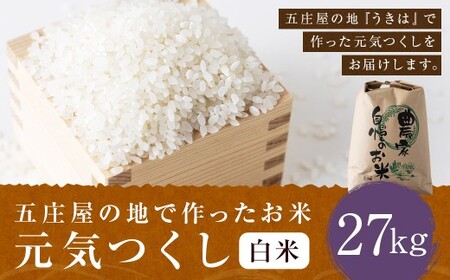 yANāz܏̒nō C  (27kg) y2025N10{菇\z  R ͂  ͎sY BY