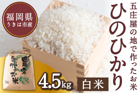 [特Aランク米]五庄屋の地で作ったお米 ひのひかり 白米 (4.5kg)[Go庄屋合同会社]ヒノヒカリ こめ コメ ごはん ご飯 福岡県うきは市産 九州産