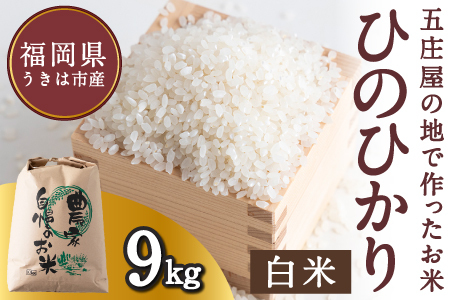 【特Aランク米】五庄屋の地で作ったお米 ひのひかり 白米 (9kg) 【2025年10月下旬より順次発送予定】 ヒノヒカリ こめ コメ ごはん ご飯 福岡県うきは市産 九州産