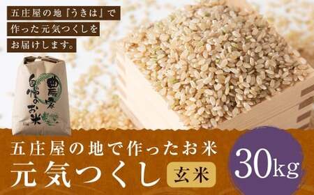 yANāz܏̒nō C  (30kg) y2025N10{菇\z  R ͂  ͎sY BY