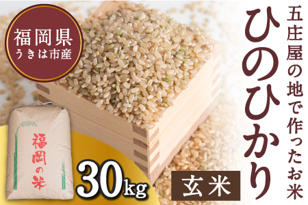 【特Aランク米】五庄屋の地で作ったお米 ひのひかり 玄米 (30kg) 【2025年10月下旬より順次発送予定】 ヒノヒカリ こめ コメ ごはん ご飯 福岡県うきは市産 九州産
