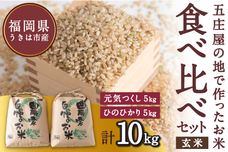 [特Aランク米]五庄屋の地で作ったお米 食べ比べセット 玄米 (元気つくし 5kg・ひのひかり 5kg) 計10kg [2025年10月下旬より順次発送予定] ヒノヒカリ こめ コメ ごはん ご飯 福岡県うきは市産 九州産