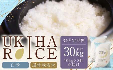y3ցz ݂كt@[ UKIHA RICE  5kg?2?3 iʏ͔|āj v30kg qmqJ Ђ̂Ђ    R     ͂   Ε Mtg v[